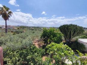 l'Araucaria bnb Marsala